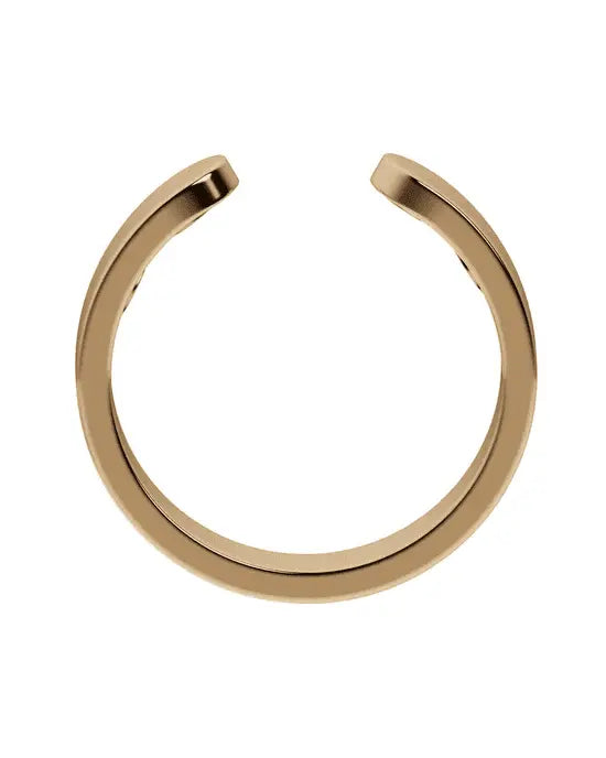 Aurox L'Anneau Vitalité