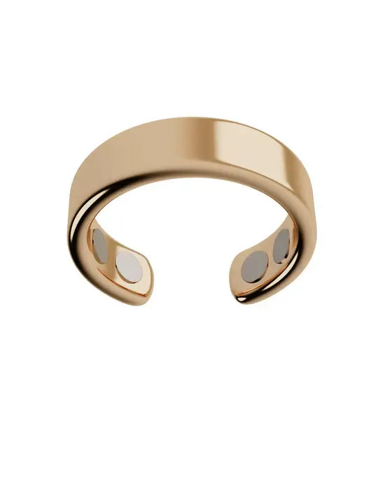 Aurox L'Anneau Vitalité